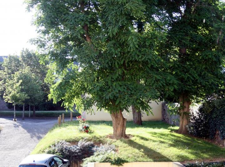 Appartement_T3_Nantes_Canclaux_-_Procé_-_Zola_00030-0017-24100.jpg