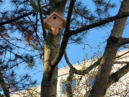 La biodiversité s'installe au sein de la résidence Moulin Neuf : nichoirs, hôtels à insecte, ruches, prairie naturelle, composteurs...