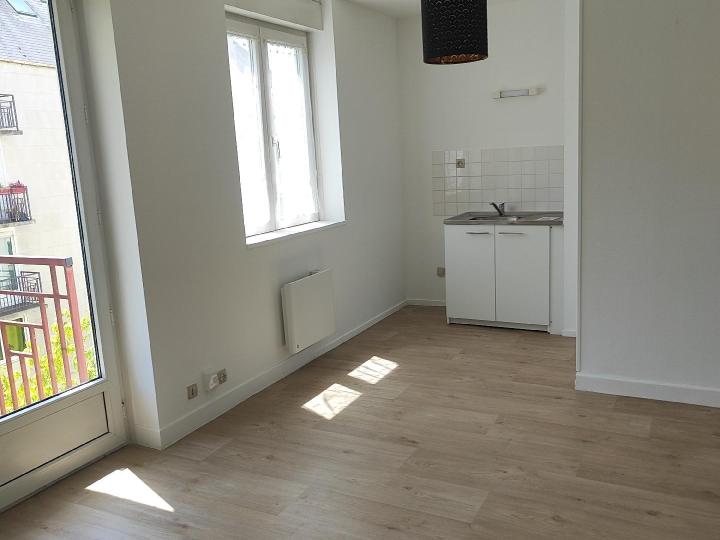 Appartement_T1_Nantes_Centre_ville_01580-0055-43337.jpg