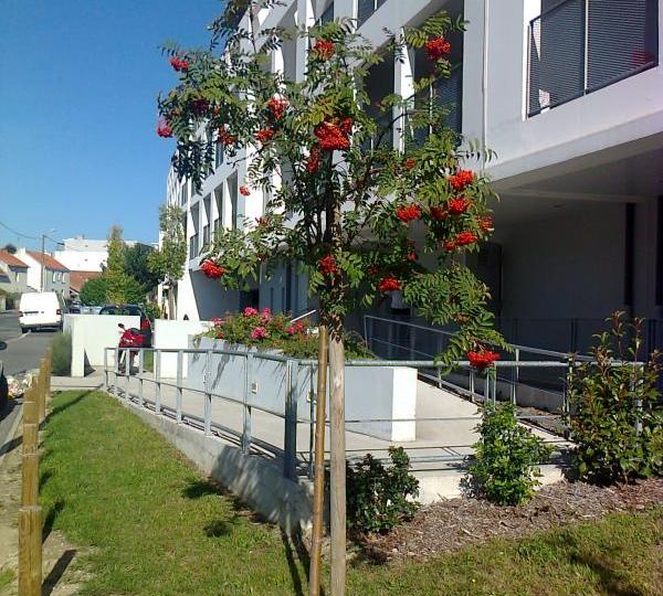 Appartement_T2_Saint_Herblain_A618-03-23962.jpg