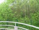 Appartement_T2_Nantes_Erdre_01005-0046-23262.jpg