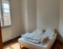 Appartement_T2_Nantes_St_Donatien/Jardin_des_Plantes_00900-0002-36334.jpg