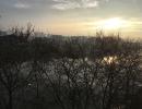 Appartement_T3_Nantes_St_Donatien/Jardin_des_Plantes_DIF1512-802-249030.jpg