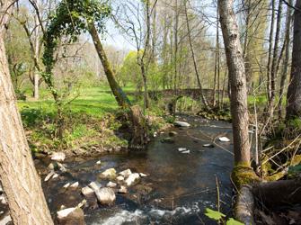 Programme_immobilier_neuf_saint_herblain_regards_sur_parc_Environnement.jpg