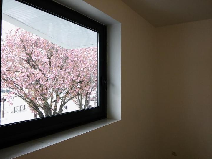 Appartement_T1_Nantes_Ile_de_Nantes_01599-0124-229116.jpg