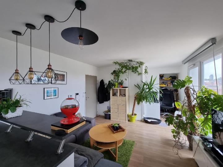 Appartement_T2_Nantes_St_Donatien/Jardin_des_Plantes_1094-23-32761.jpg