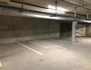 Annexe_Nantes_St_Donatien/Jardin_des_Plantes_1169-136-34452.jpg
