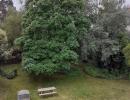 Appartement_T3_Nantes_Canclaux_-_Procé_-_Zola_00029-0007-34306.jpg