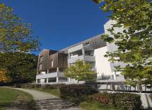 Démoussage et pérennisation : une mission de CIF syndic pour l'entretien du patrimoine de nos copropriétaires